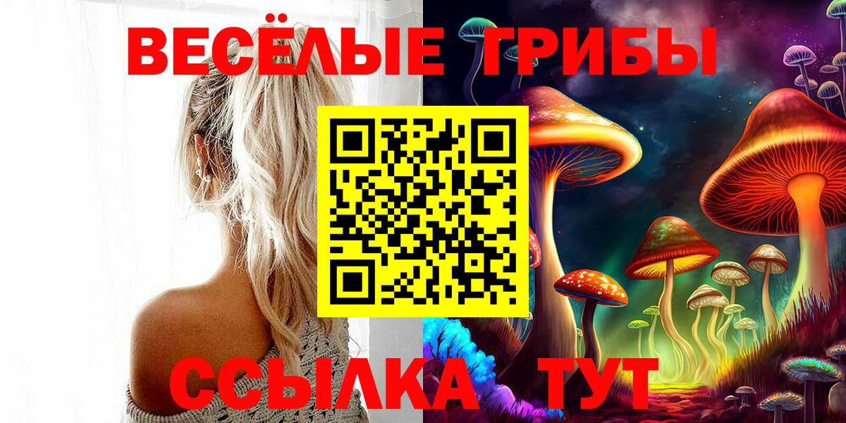 Галлюциногенные грибы мухоморы Костомукша