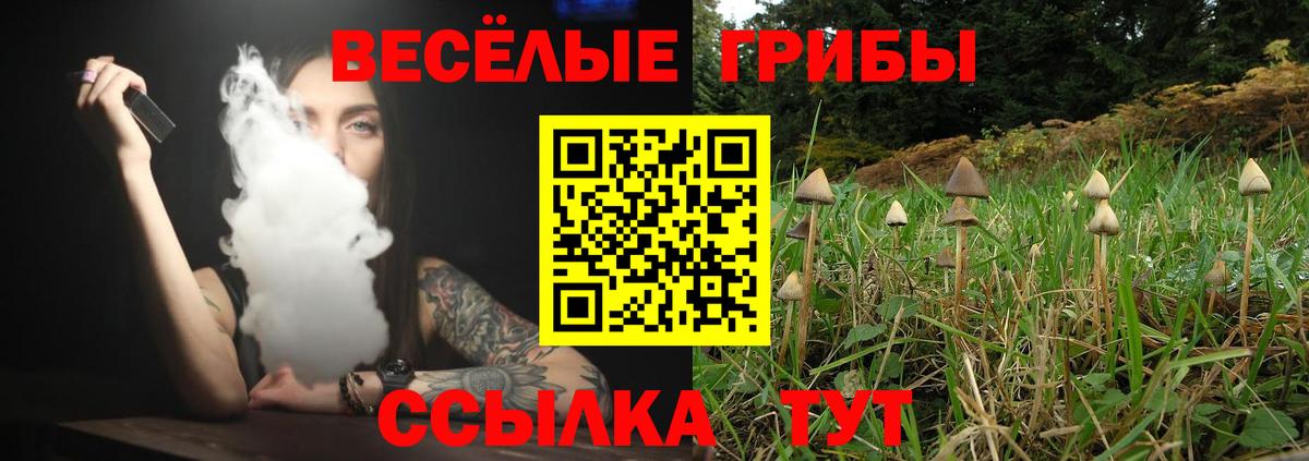 Псилоцибиновые грибы мухоморы  Вход с VPN  Костомукша  Галлюциногенные грибы Magic Shrooms 